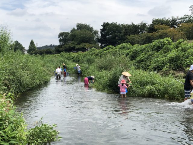 わたしのまちの水辺調査 今年も北浅川で実施 八王子 生活者ネットワーク